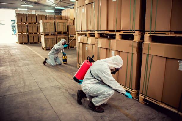 Best Affordable Pest Control Services  in Galena, KS