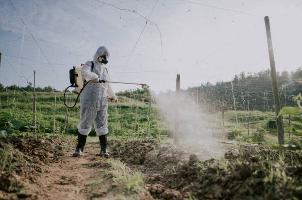 Best Termite Control Services  in Galena, KS