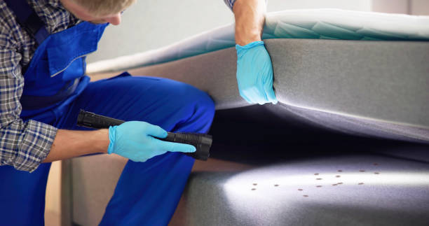 Best Best Pest Control Companies  in Galena, KS