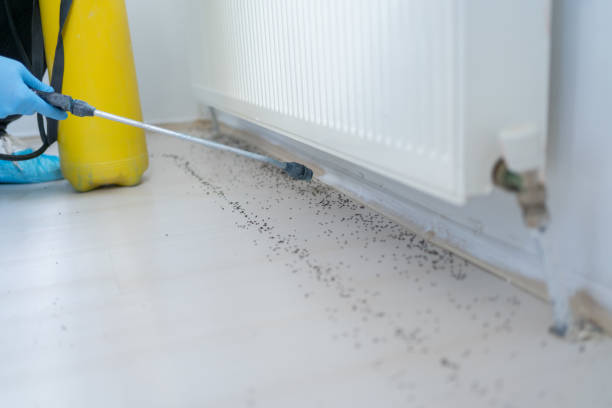 Best Mosquito Control Services  in Galena, KS